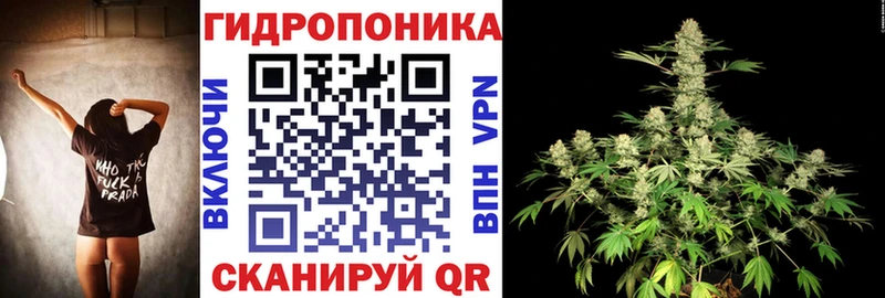МАРИХУАНА THC 21%  Купить закладки  Мензелинск 